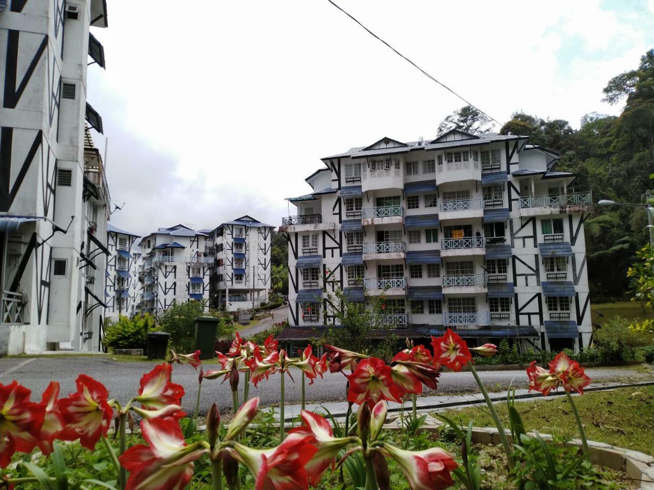 Appartement Desa Anthurium à Cameron Highlands Extérieur photo