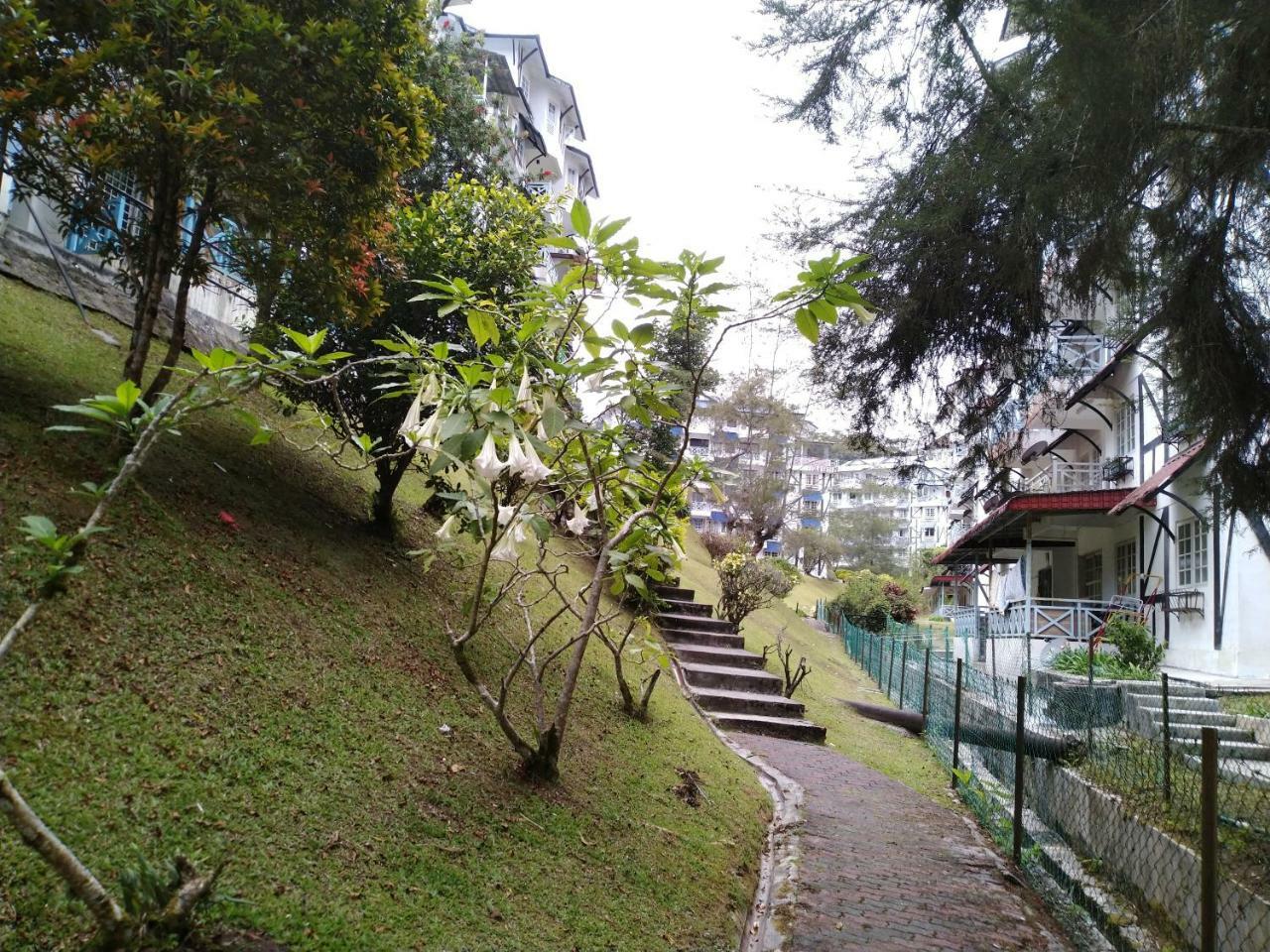 Appartement Desa Anthurium à Cameron Highlands Extérieur photo