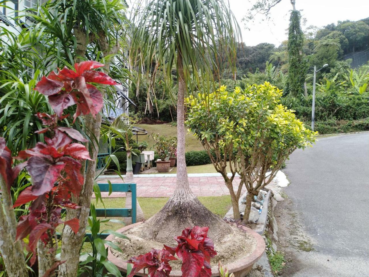 Appartement Desa Anthurium à Cameron Highlands Extérieur photo