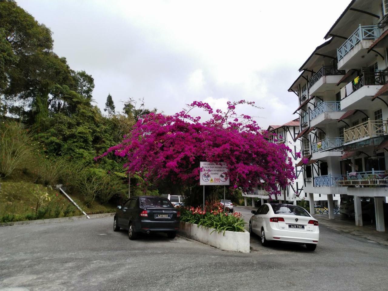 Appartement Desa Anthurium à Cameron Highlands Extérieur photo